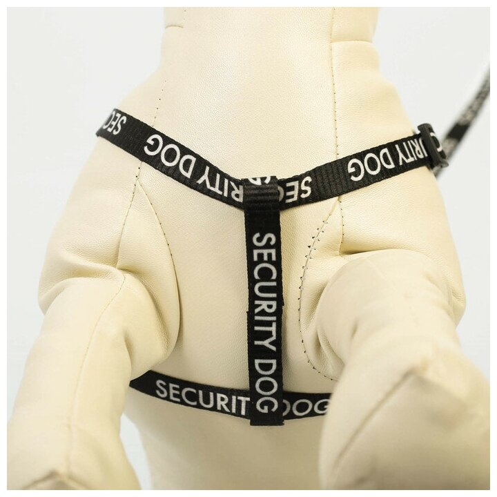 Комплект Security dog, шлейка 26-39 см, поводок 120х1 см - фотография № 6