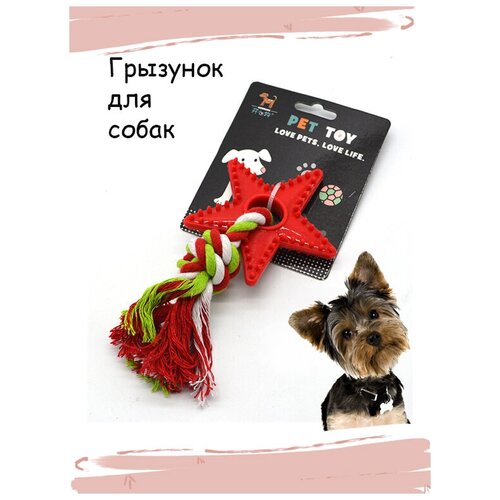 Игрушка для собак для прорезывания зубов для активных игр на улице и дома, Соска