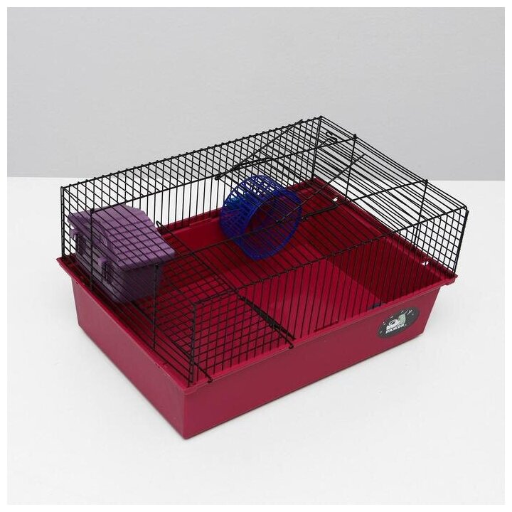 Клетка для грызунов"Пижон" 4, с этажом, укомплектованная, 37 х 26 х 18 см, рубиновая Пижон 5076199 . - фотография № 5