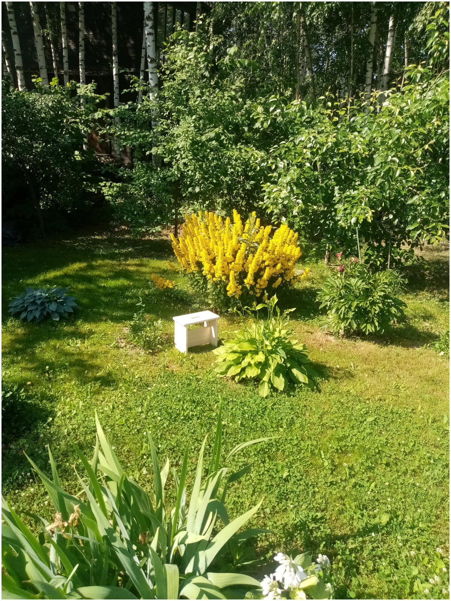 Скамеечка низкая, из сосновой доски, для дома, сада и огорода, производство Досугивуги. - фотография № 4
