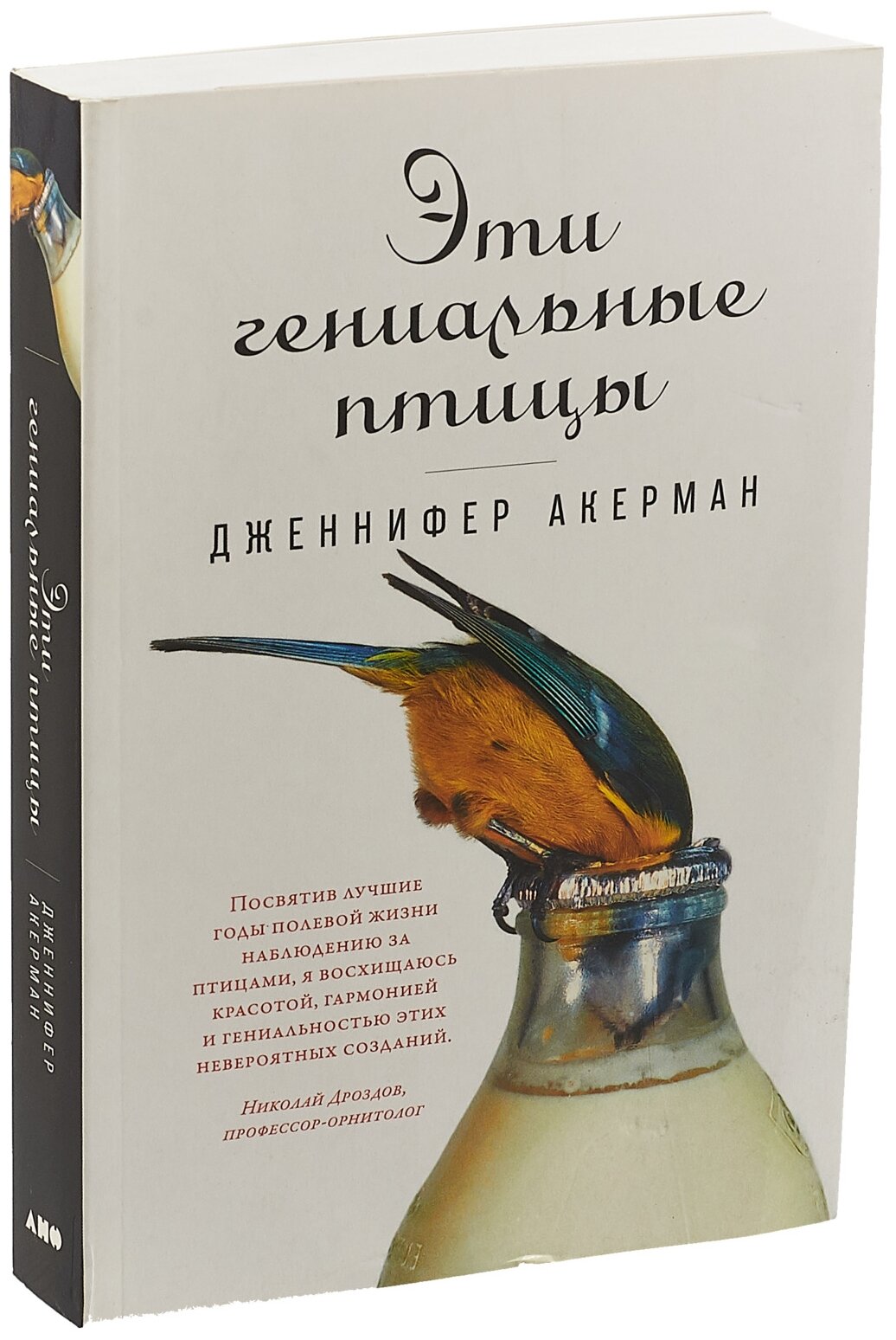 Эти гениальные птицы (Акерман Дженнифер) - фото №3