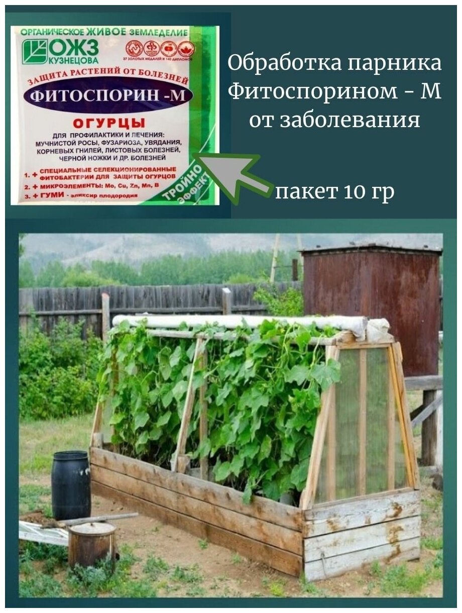 Фитоспорин-М "БашИнком" огурцы порошок 10г - фотография № 3