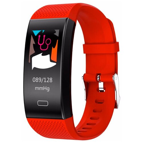 BandRate Smart BRSTF6BR 295000₽