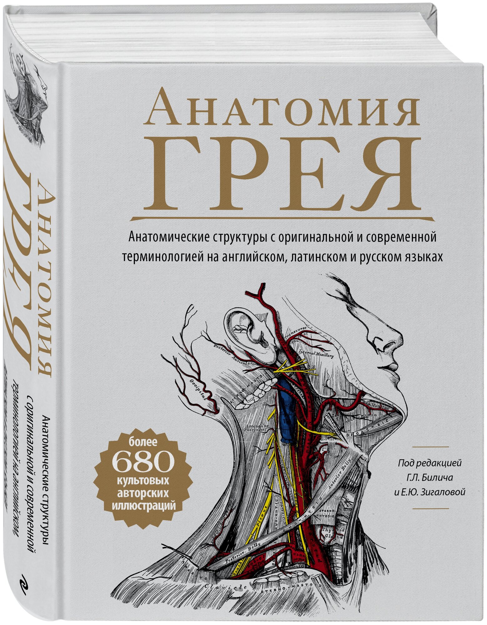 Билич Г. Л, Зигалова Е. Ю. Анатомия Грея. Анатомические структуры с оригинальной и современной терминологией на английском, латинском и русском языках