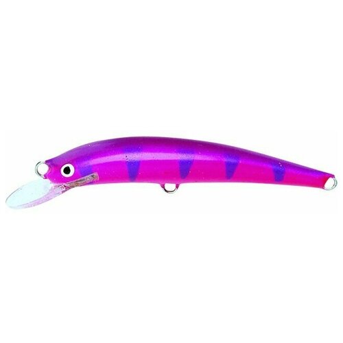 Воблер Nils Master Invincible Floating, 12cm, 24g, #22