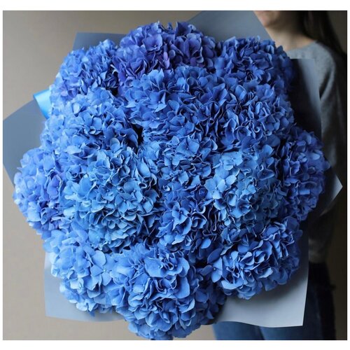 Букет Гортензия синяя 17 шт, красивый букет цветов, шикарный, премиум букет.