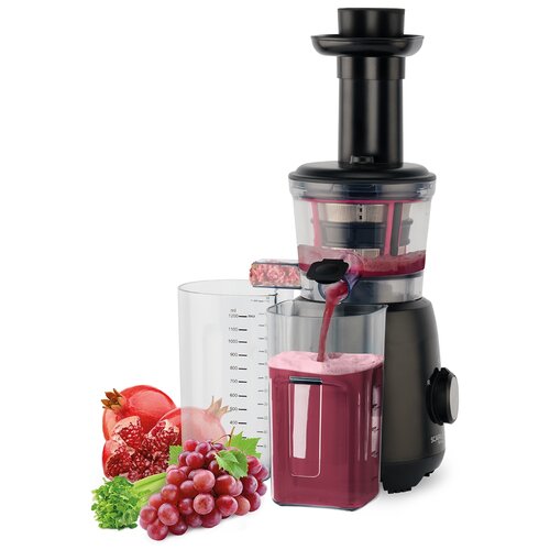 соковыжималка шнековая SCARLETT SC-JE50S54 449000₽