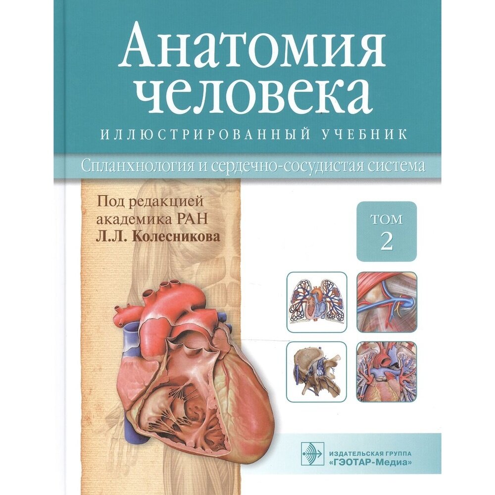 Анатомия человека. Учебник в 3-х томах. Том 2. Спланхнология и сердечно-сосудистая система - фото №3
