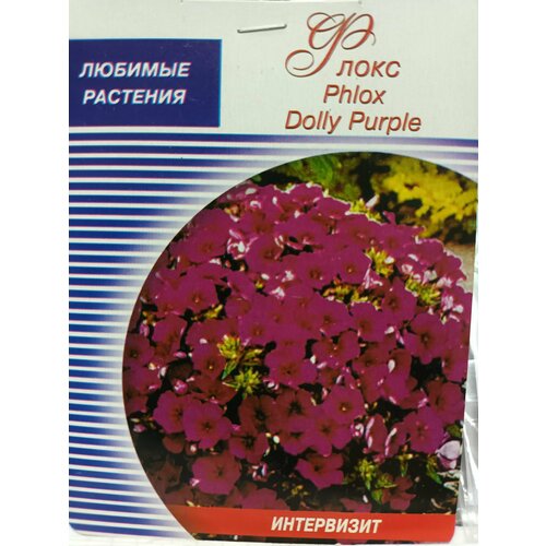 Флокс Phlox Dolly Purple семян