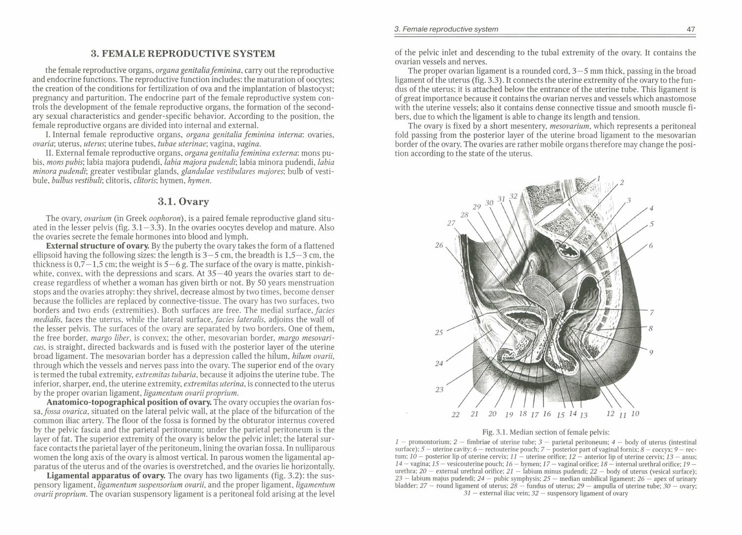 Urogenital System. The manual for medical students - фото №3