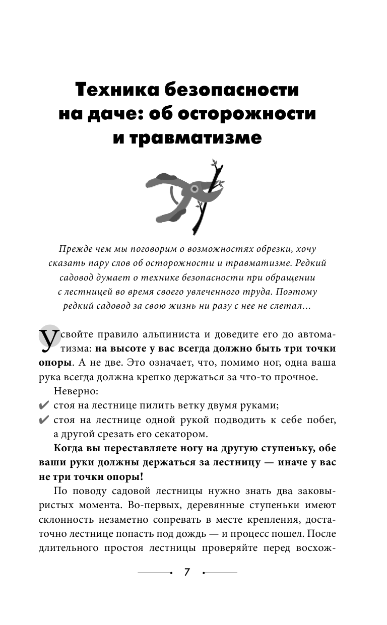 Обрезка и подкормка. Руководство начинающего садовода - фото №12