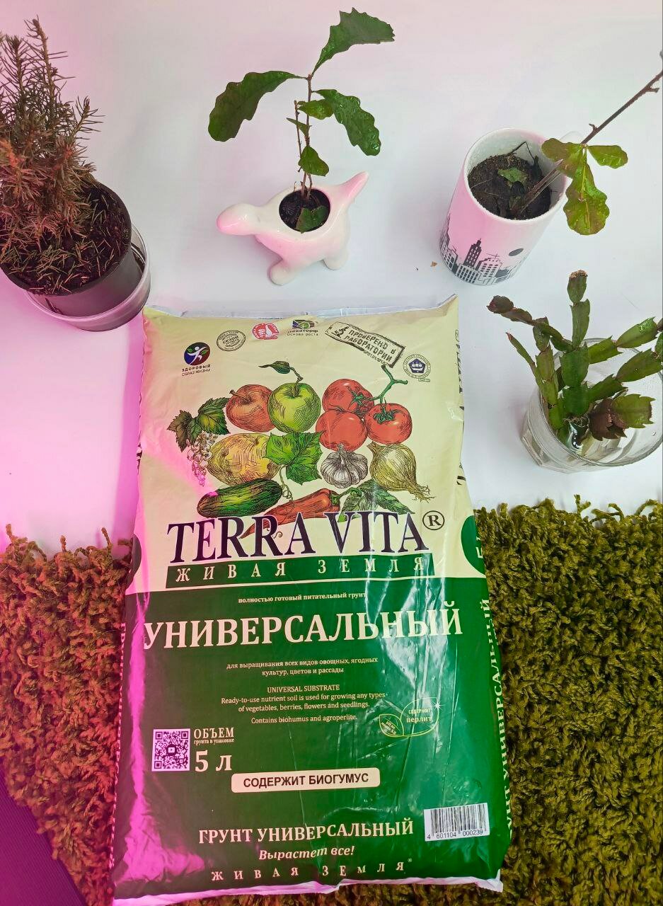 Грунт (торфогрунт) универсальный 5л Terra Vita (Живая земля)" - фотография № 3