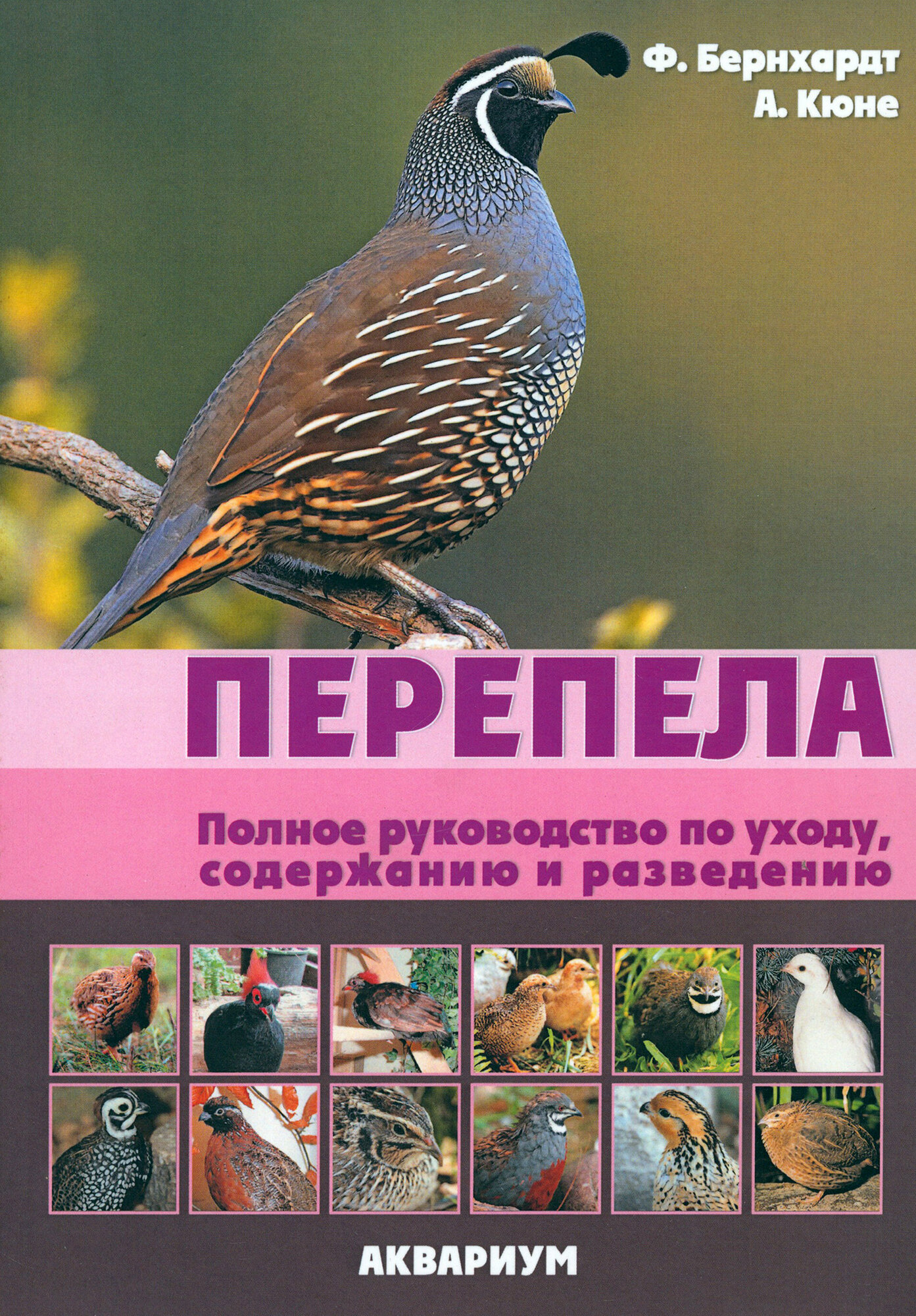 Перепела. Полное руководство по уходу, содержанию и разведению - фото №1