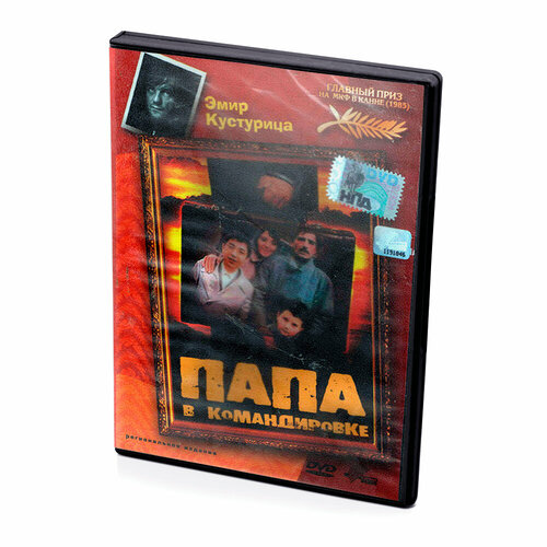 Папа в командировке (DVD)