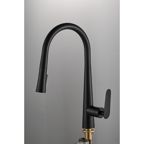 Смеситель для кухни с выдвижной лейкой Brunardi Grace