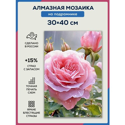 Алмазная мозаика 30x40 Куст роз на подрамнике