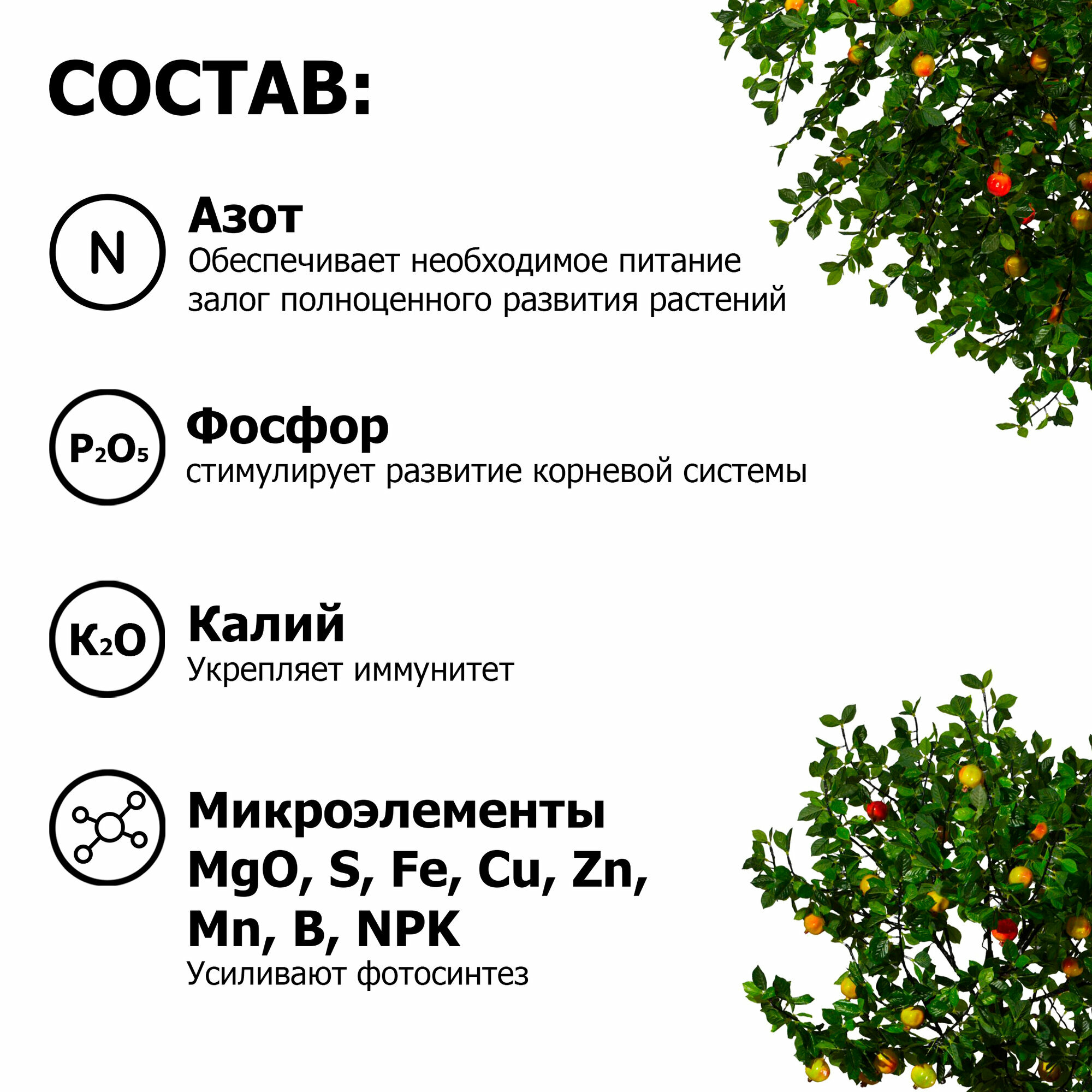 Удобрение для плодовых деревьев и ягодных кустарников (яблонь, груш, смородины, малины, крыжовника, ежевики, жимолости и других) Пуршат 1 кг