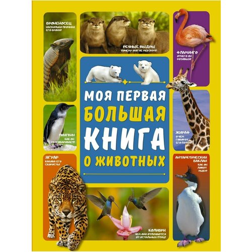Моя первая большая книга о животных куйе наталья моя любимая книга о животных