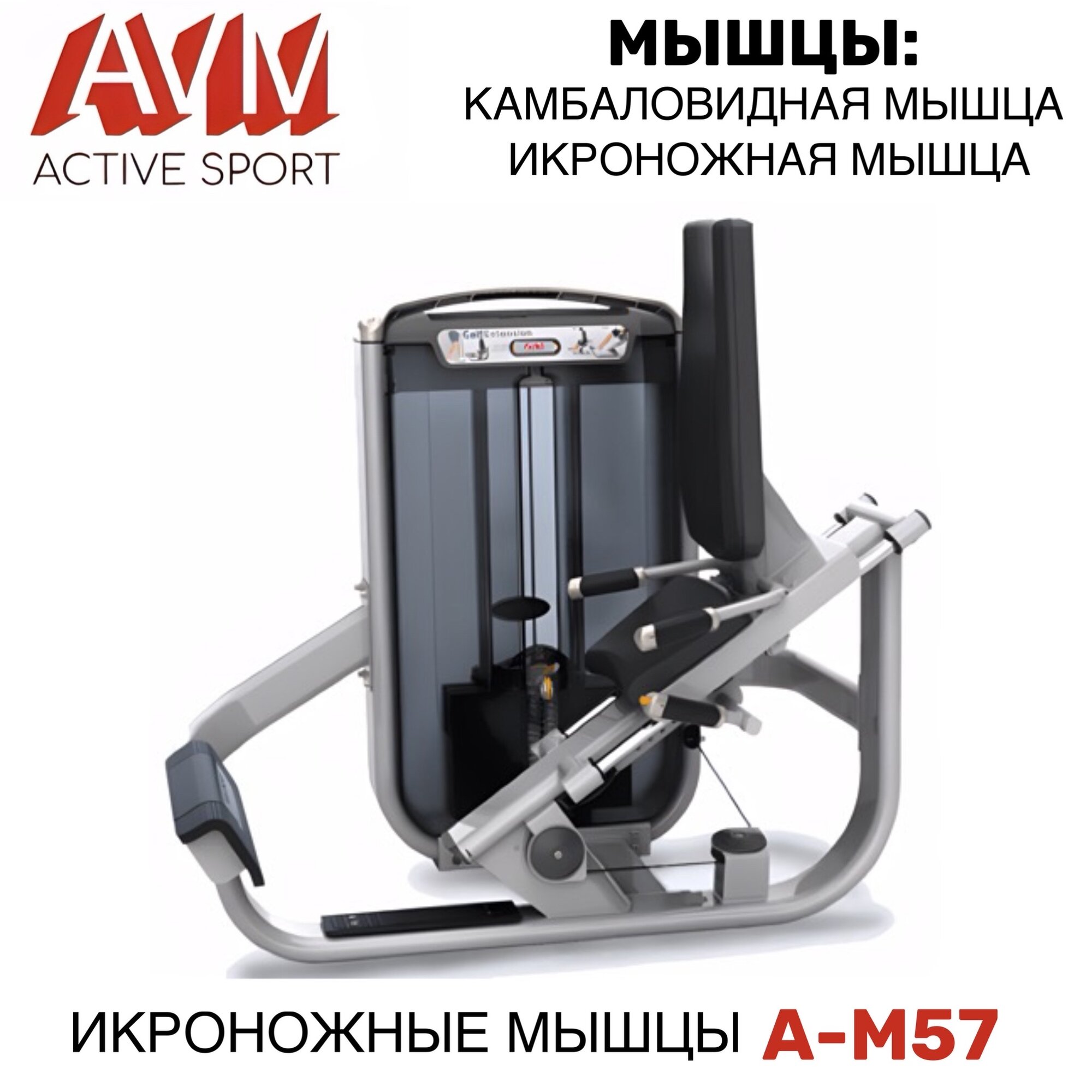 Профессиональный силовой тренажер для зала Икроножные мышцы AVM A-M57