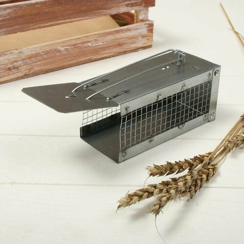 Мышеловка-ловушка клетка 13 6 6 см металл 815₽