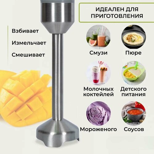 Тестовый образец блендер Картинка 311100₽