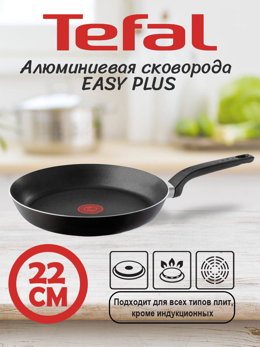 Сковорода Tefal 042 06 122 EASY PLUS 22см