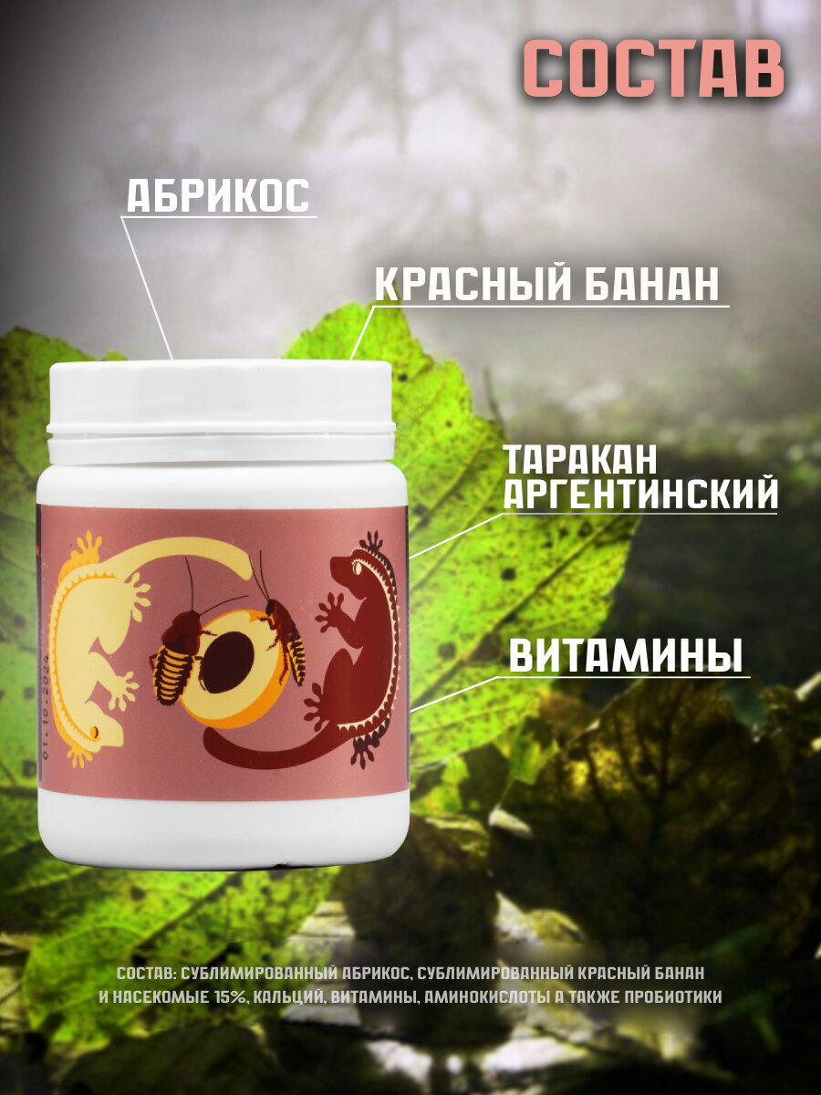 Корм для рептилий Kate's Geckos Lab Apricot and Blaptica Dubia gecko diet 100 грамм, полнорационная смесь для бананоедов и других гекконов Кейтс Гекко Лаб Абрикос и Аргентинский таракан