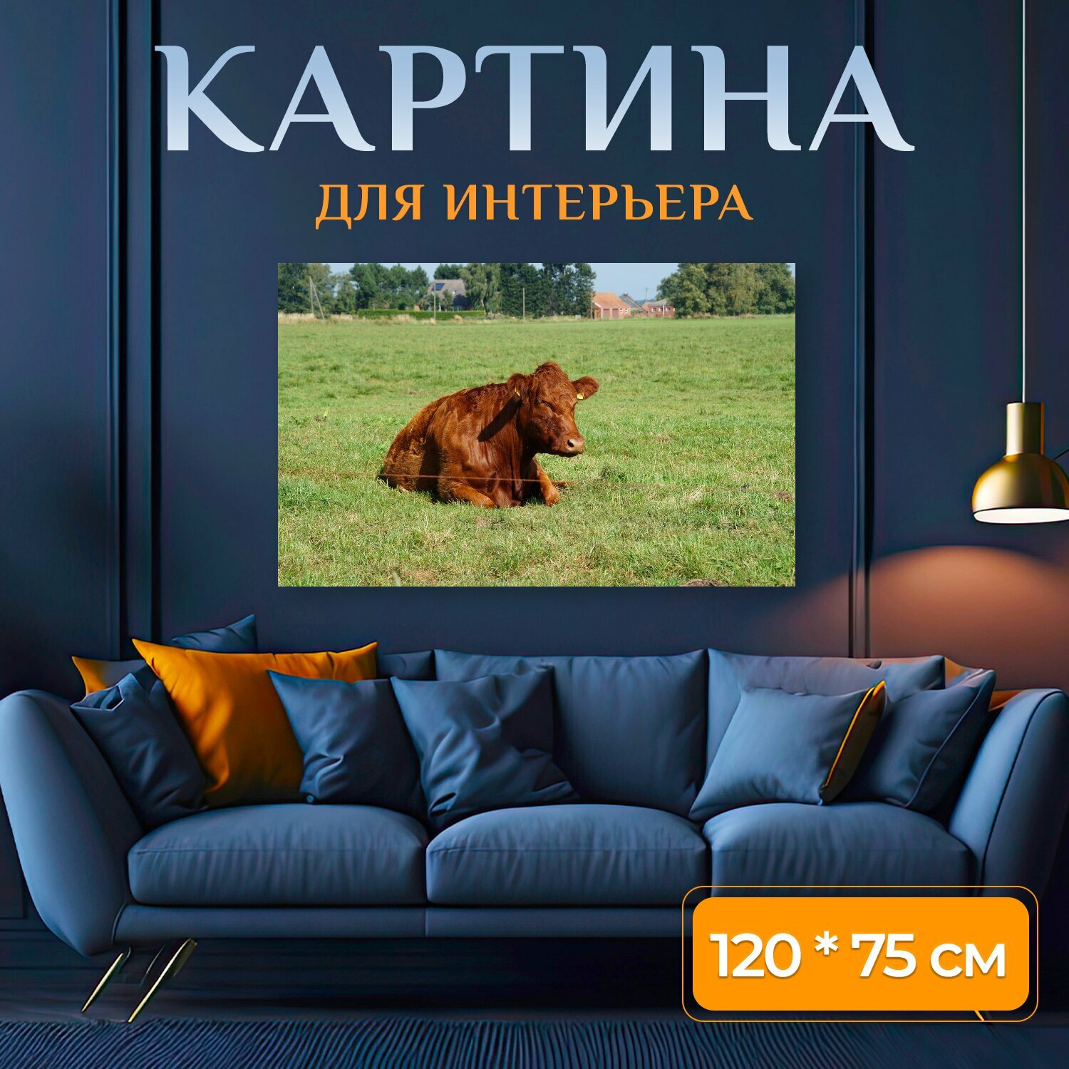 Картина на холсте "Говядина, животное, коричневый" на подрамнике 120х75 см. для интерьера
