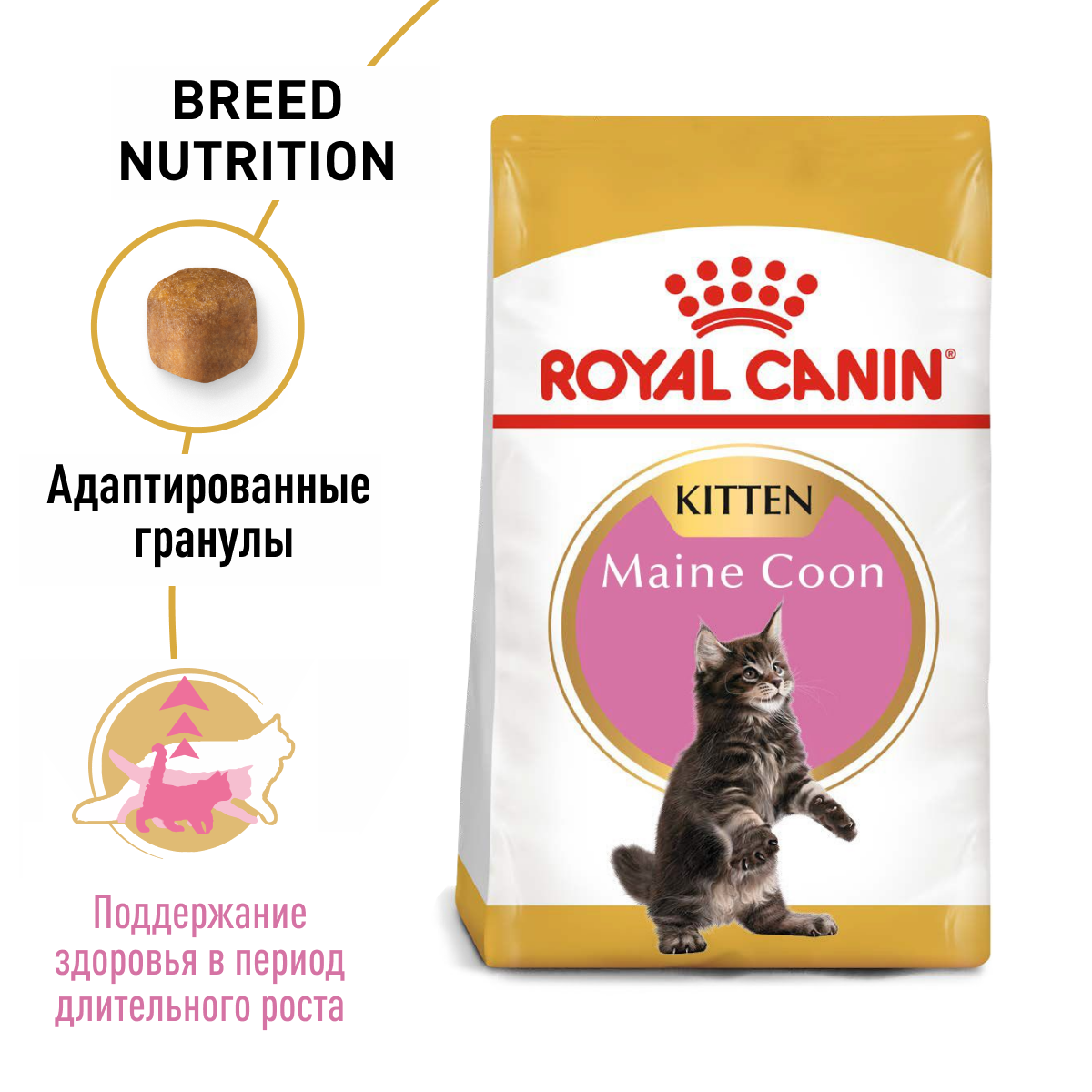 Сухой корм Royal Canin Maine Coon Kitten (Майн Кун Киттен) для котят породы Мэйн Кун от 4 до 15 месяцев, 2 кг