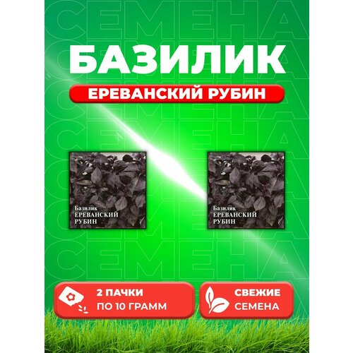 семена базилик гавриш ереванский рубин 0 3 г Семена Базилик Ереванский рубин 10г. Гавриш(2уп)