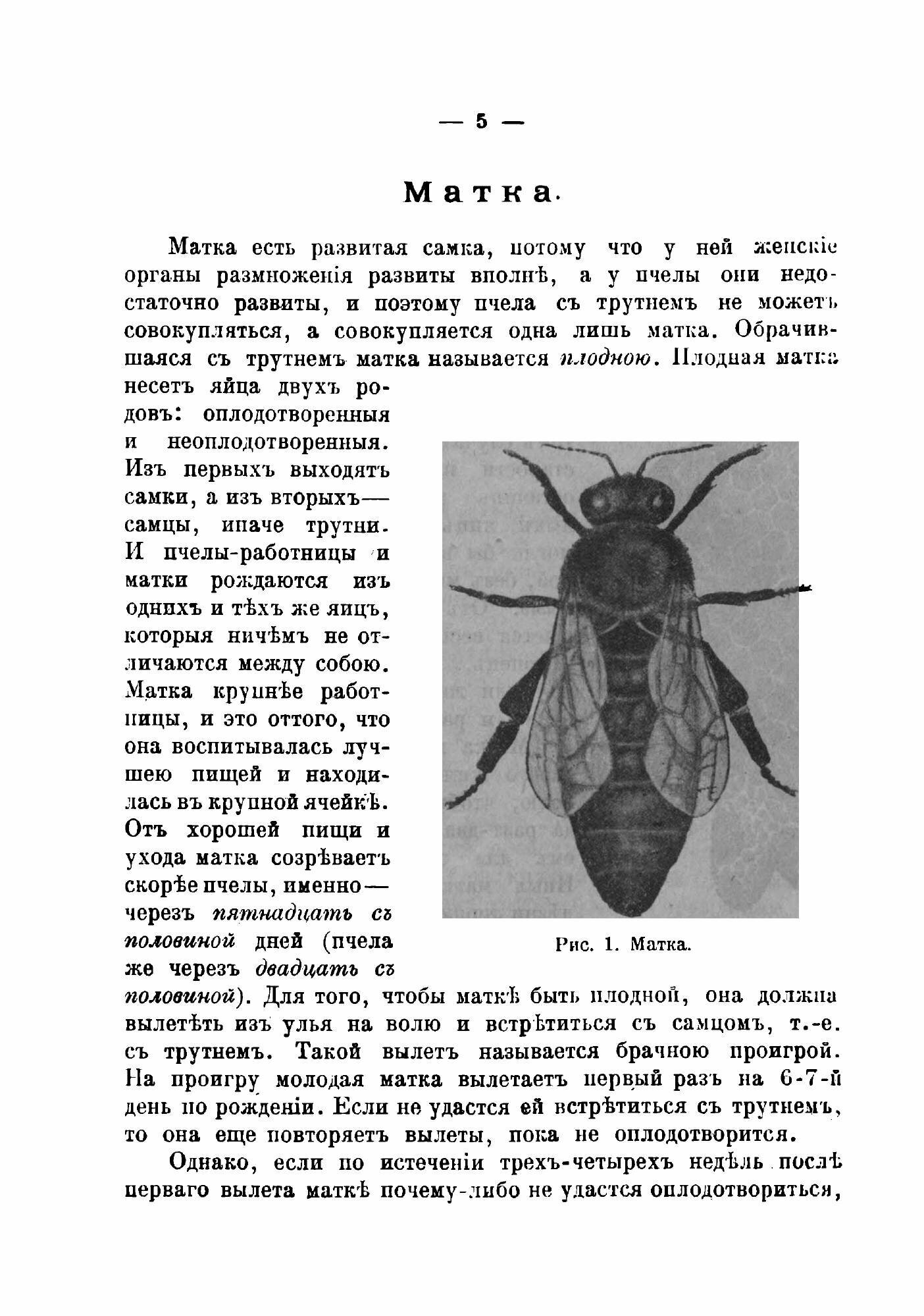 Книга Пчелиный устав, или Уход за пчелами по правилам пчеловодной науки - фото №5