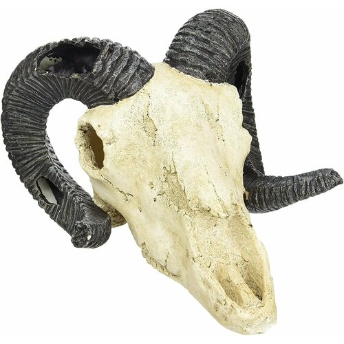 Декорация для террариума, череп LUCKY REPTILE "Skull Ram", 19.5х7х12см (Германия)