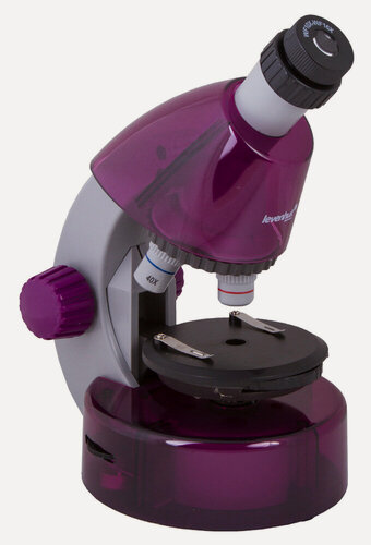 Изображение товара Микроскоп Levenhuk (Левенгук) LabZZ M101 Amethyst\Аметист, от 200х до 800х