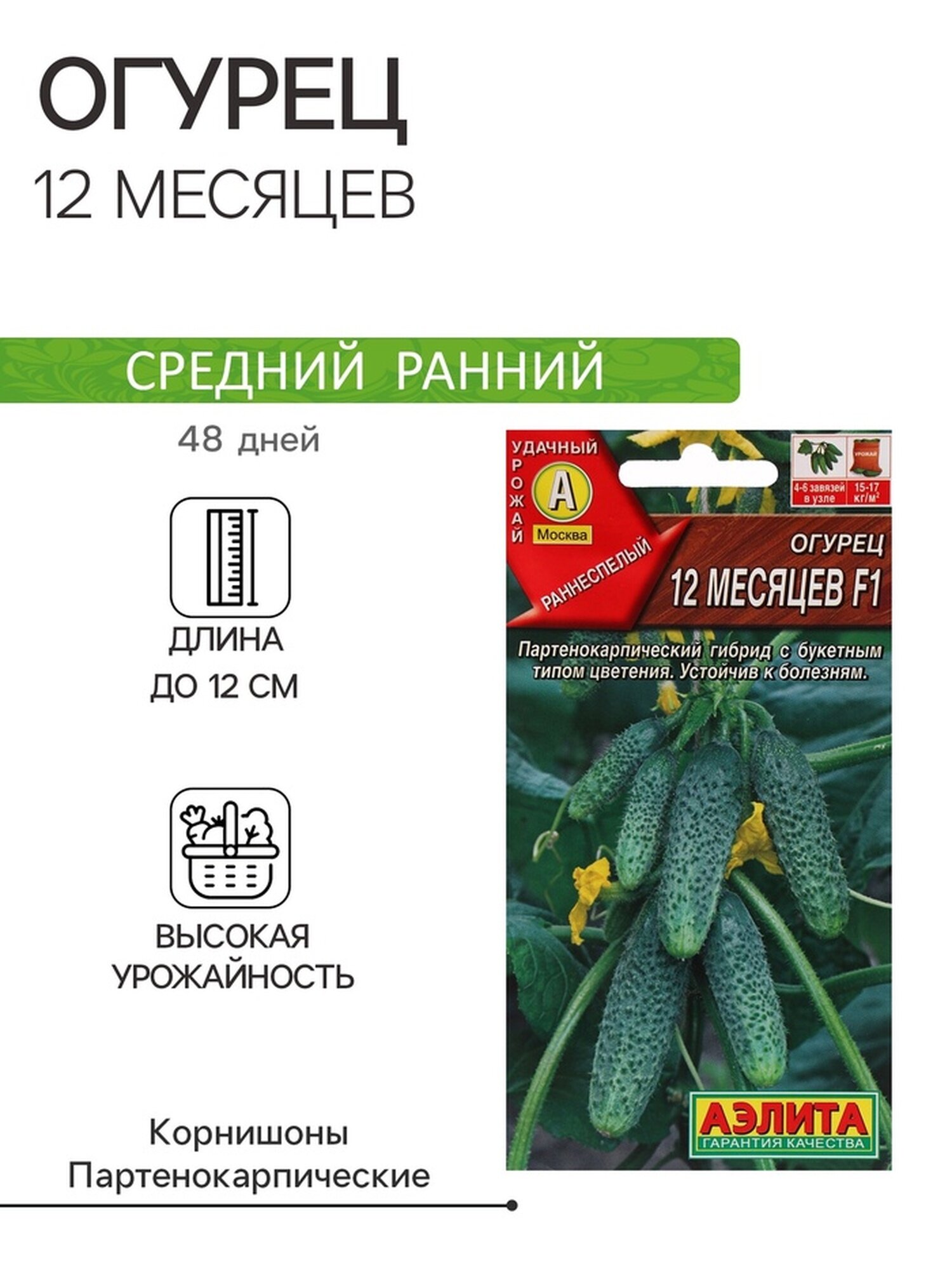 Семена огурца 