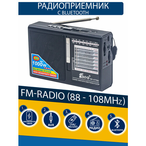 Радиоприемник EPE FP-1775 black 105500₽