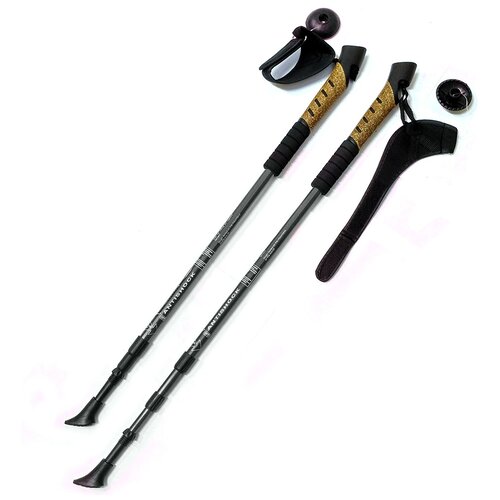 Палки для скандинавской ходьбы 2 шт. телескопические складные Sportex F18443, черный