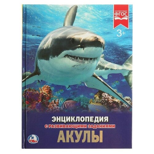 Умка Энциклопедия с развивающими заданиями «Акулы»