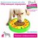 Развивающая игрушка для собак и кошек Pet Universe, головоломка, ...
