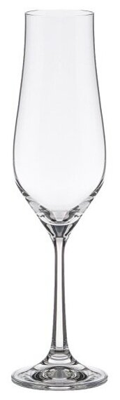 Набор бокалов для шампанского Crystalex TULIPA OPTIC CR170104TO 6шт 170мл