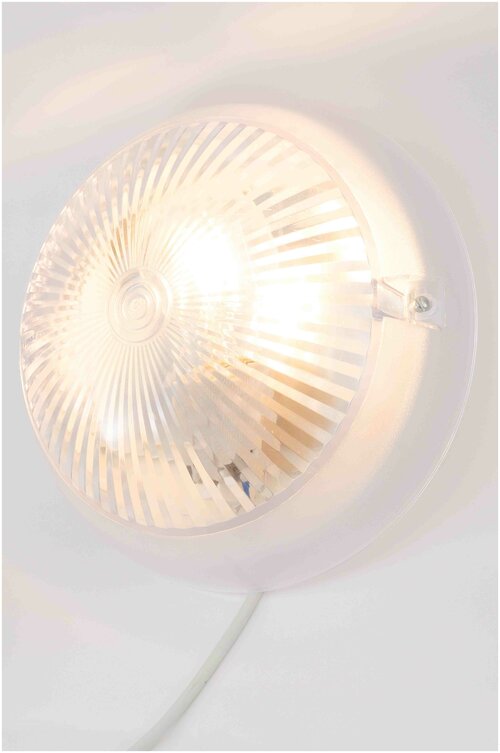 Настенно-потолочный светильник Apeyron Сириус НБП 06-60-001 в форме круга, цвет белый, 60 Вт, IP54, цоколь E27, 220х220х105 мм.