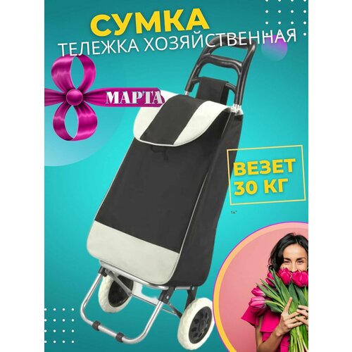 фото Хозяйственная сумка тележка складная на колесах для продуктов женская металлическая трансформер rolltode