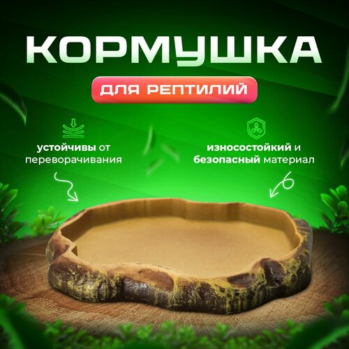 Кормушка для террариума и рептилий Simple Zoo, 120х130х15 мм