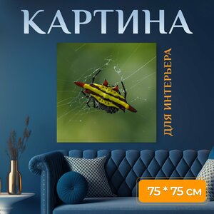 Картина на холсте "Паук, игры, ханой" на подрамнике 75х75 см. для интерьера