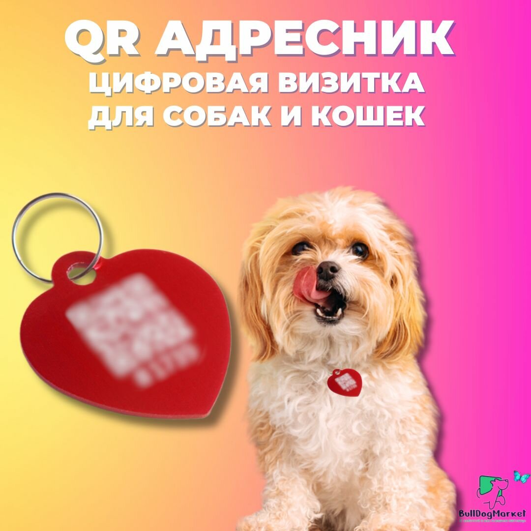 Адресник для собак и кошек с гравировкой QR кода, сердечко