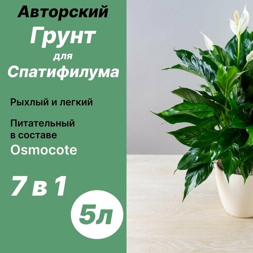Грунт для Спатифиллума 5л / Бионика — купить в интернет-магазине Дом ...
