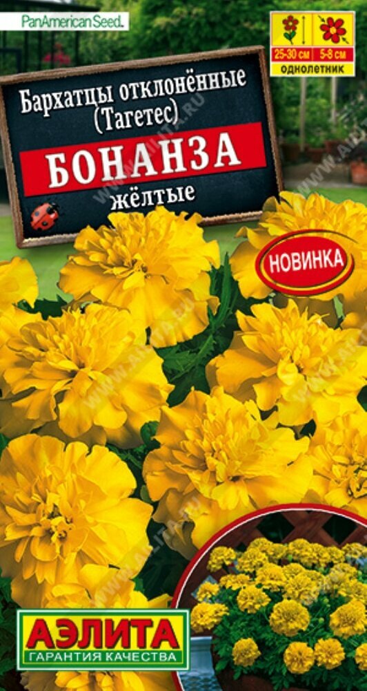 Weight-Loss Program: Lose Weight. Gain Health | WeightWatchers