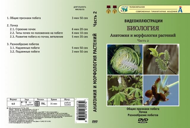 Биология. Анатомия и морфология растений. ч.2 (DVD, 6 фрагментов, 31 мин.)