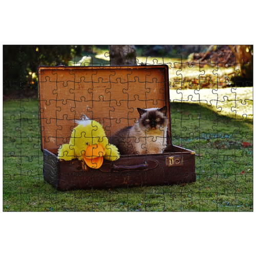 фото Магнитный пазл 27x18см."чемодан, античный, кот" на холодильник lotsprints