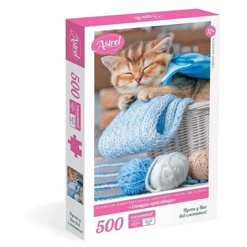 Пазл 500 