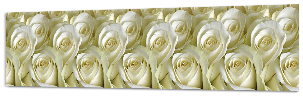 Фартук Кухонный на стену "Белые розы" 3000*600*1,5 мм, ПВХ, термоперевод